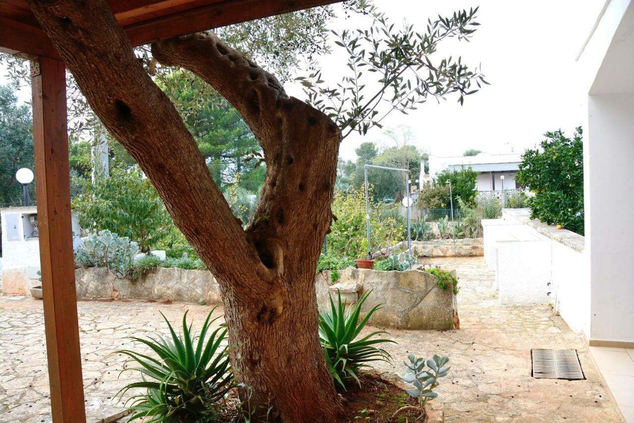 Villa Lilla أوستوني المظهر الخارجي الصورة