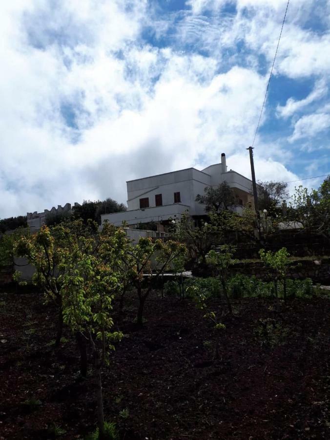 Villa Lilla أوستوني المظهر الخارجي الصورة